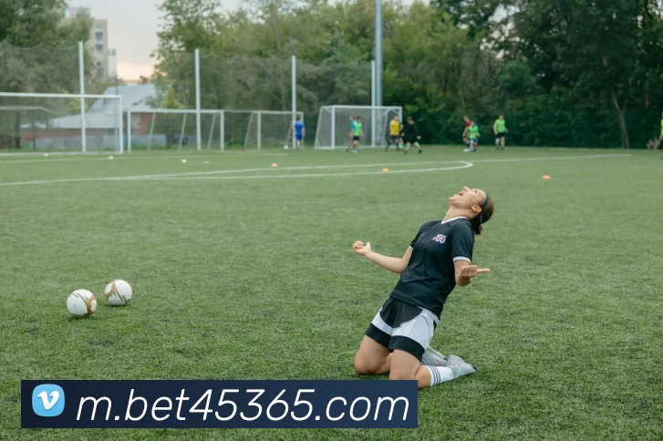 bet365comAPP 封面图